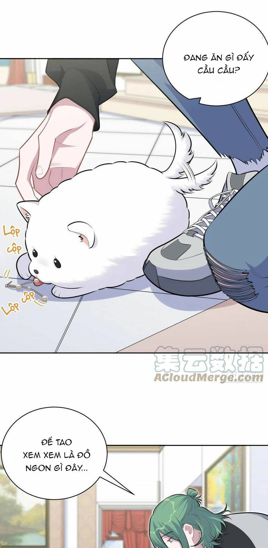 Cha Vợ Đại Nhân Là Bà Xã Chapter 168 - 26