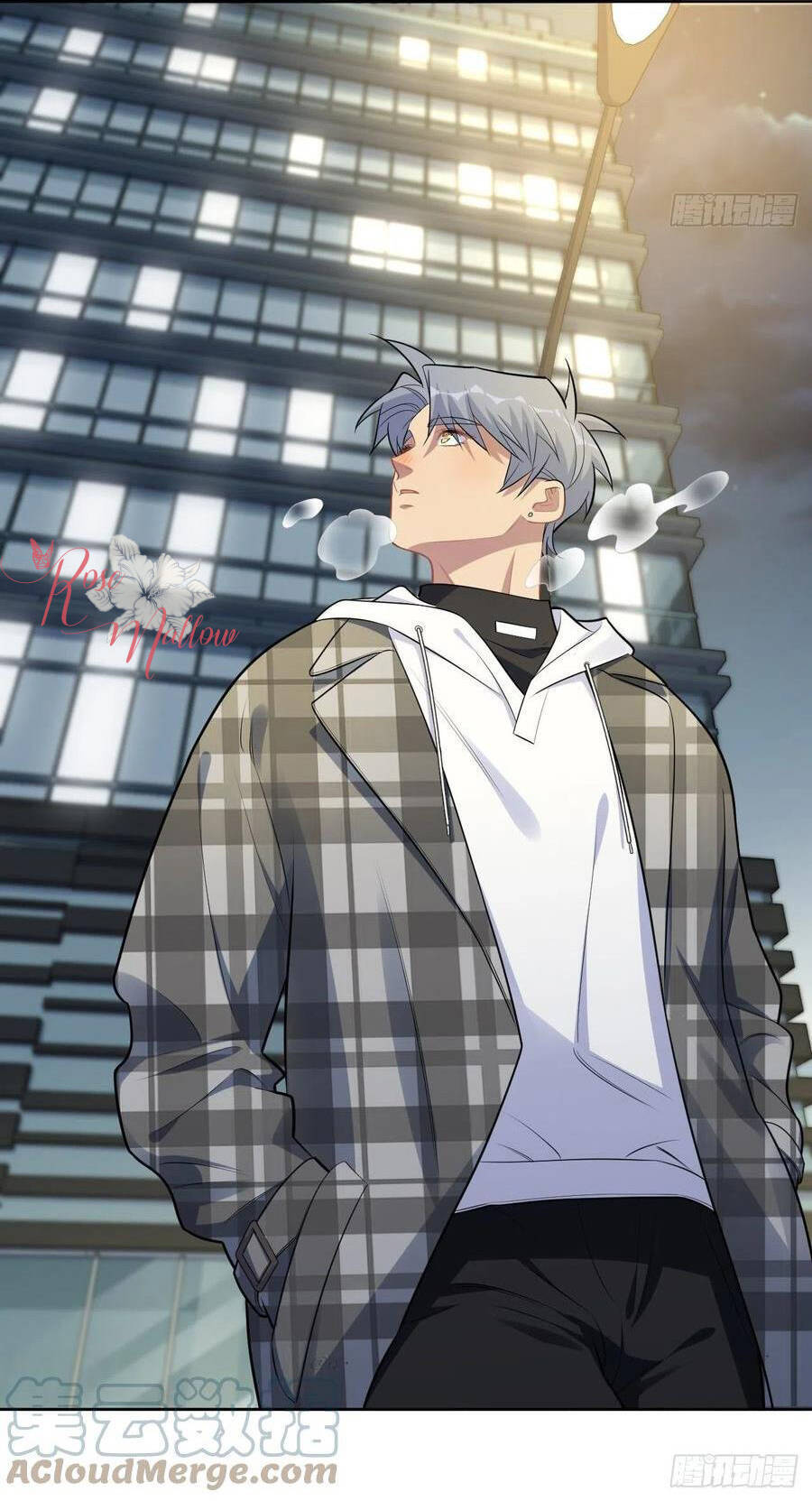 Cha Vợ Đại Nhân Là Bà Xã Chapter 174 - 14