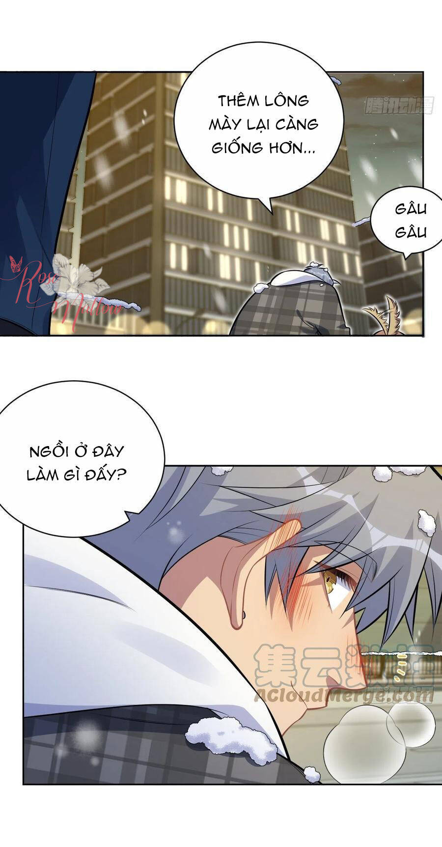 Cha Vợ Đại Nhân Là Bà Xã Chapter 175 - 21