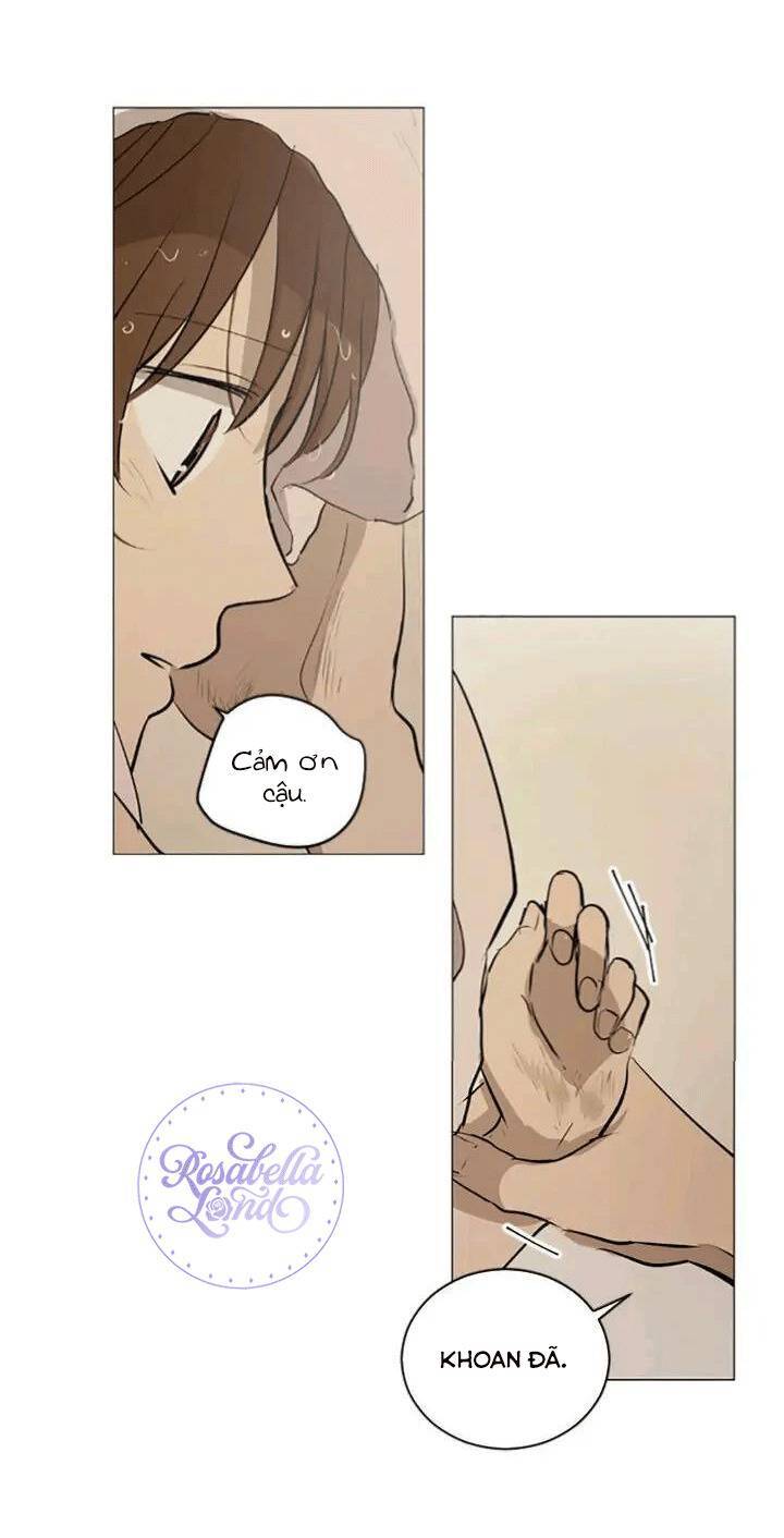 Tình Yêu Tuổi Trẻ Chapter 50 - 33