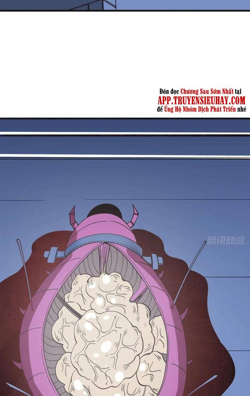 Trở Về Làm Đại Lão Thời Mạt Thế Chapter 258 - 20