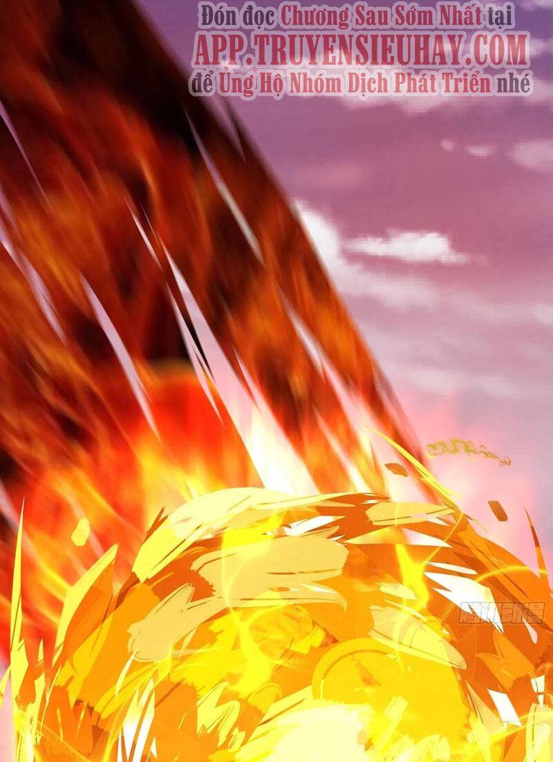 Trở Về Làm Đại Lão Thời Mạt Thế Chapter 273 - 19