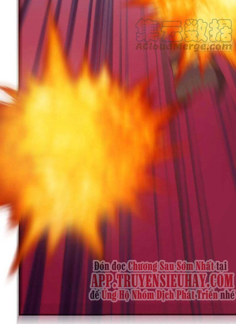 Trở Về Làm Đại Lão Thời Mạt Thế Chapter 274 - 41