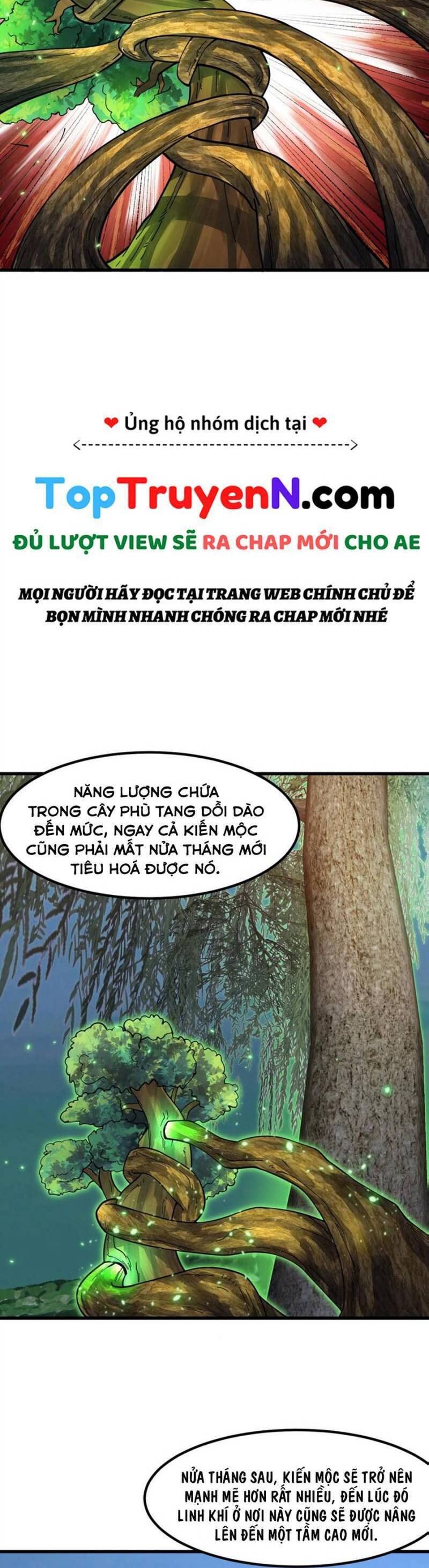 Ta Chẳng Qua Là Một Đại La Kim Tiên Chapter 310 - 12
