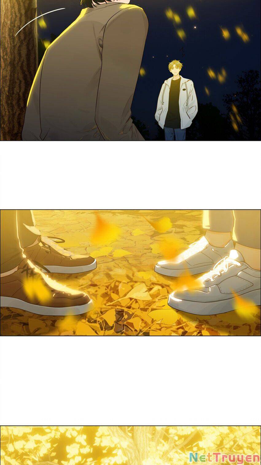 Đâu Phải Tại Tui Muốn Giả Gái Chapter 116 - 17