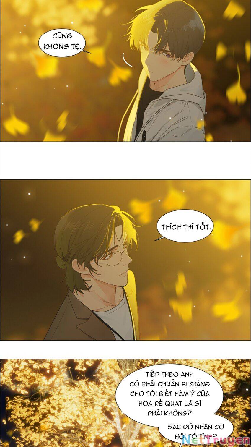 Đâu Phải Tại Tui Muốn Giả Gái Chapter 116 - 19