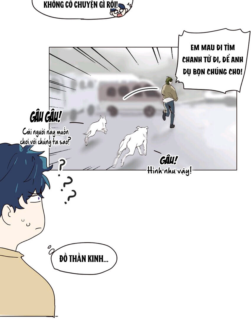 Đâu Phải Tại Tui Muốn Giả Gái Chapter 111 - 36