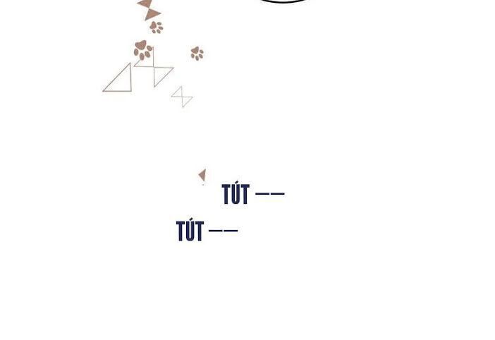 Đừng Khóc Chapter 12 - 21