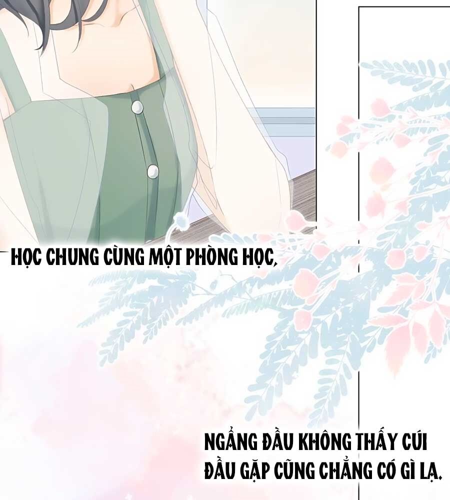 Sao Giờ, Đẩy Thuyền Tới Muốn Yêu Chapter 6 - 13