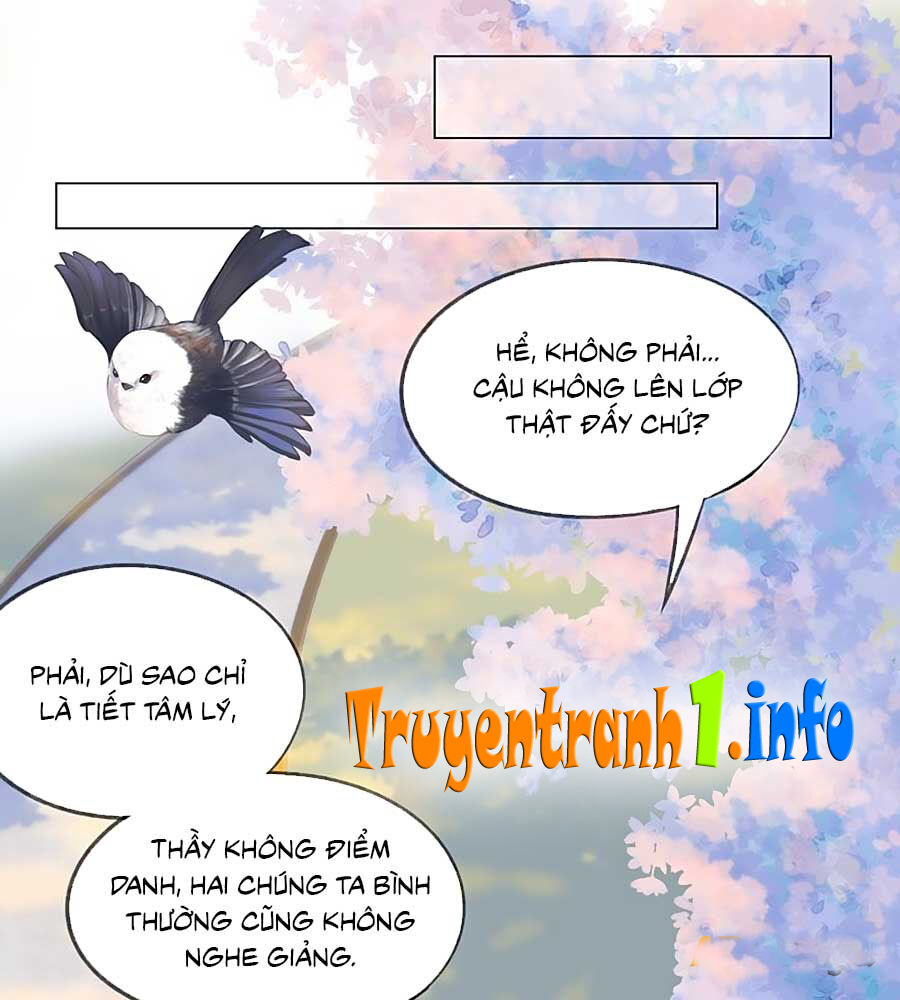 Sao Giờ, Đẩy Thuyền Tới Muốn Yêu Chapter 6 - 28