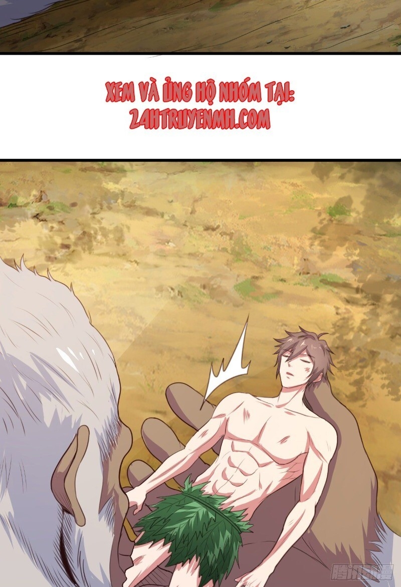 Hậu Cung Của Ta Dựa Vào Rút Thẻ Chapter 33 - 14