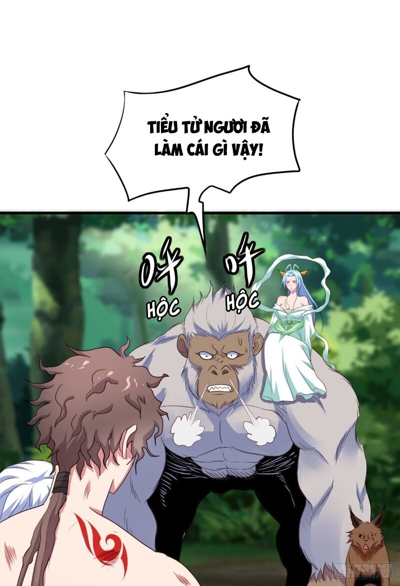 Hậu Cung Của Ta Dựa Vào Rút Thẻ Chapter 35 - 17