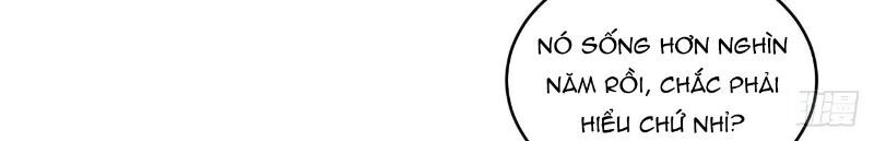 Hậu Cung Của Ta Dựa Vào Rút Thẻ Chapter 48 - 31