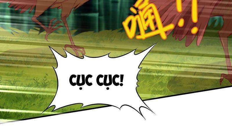 Sống Trên Hoang đảo Cùng Các Em Gái Chapter 26 - 32