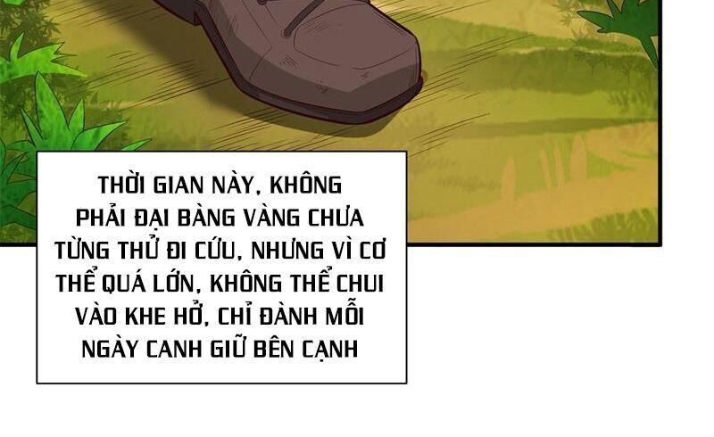 Sống Trên Hoang đảo Cùng Các Em Gái Chapter 49 - 14
