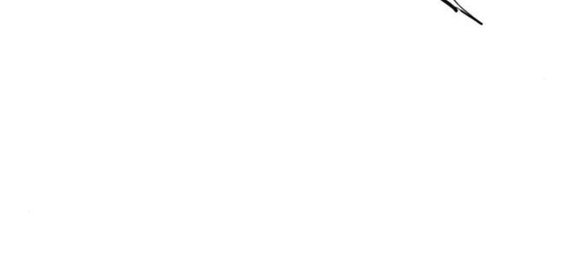 Thiên Hạ Đệ Nhất Nhân Chapter 27 - 91