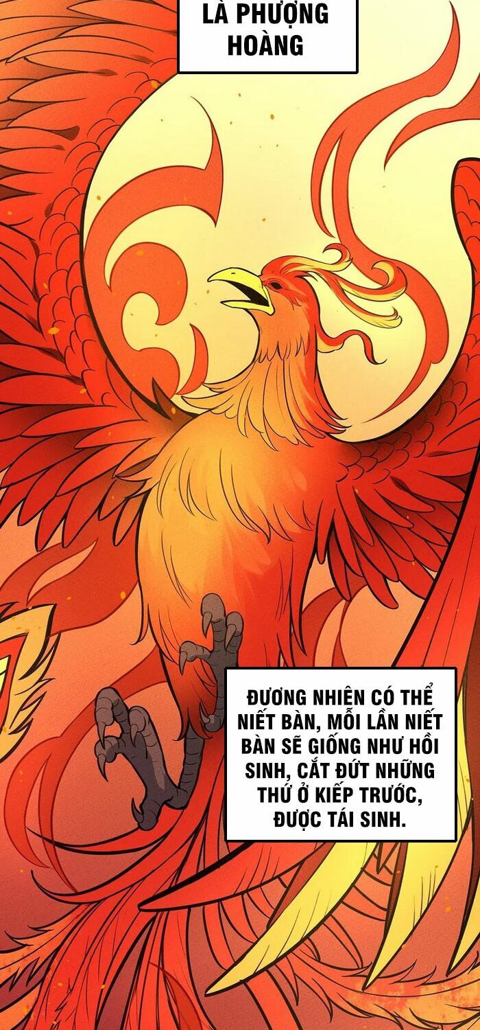 Làm Sao Bây Giờ? Ta Xuyên Không Thành Tiểu Quái Chapter 81 - 23