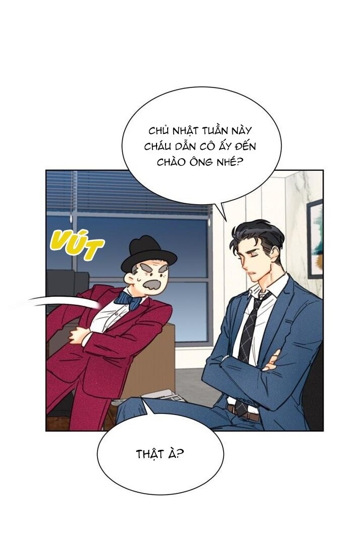 Hẹn Hò Chốn Công Sở Chapter 21 - 19