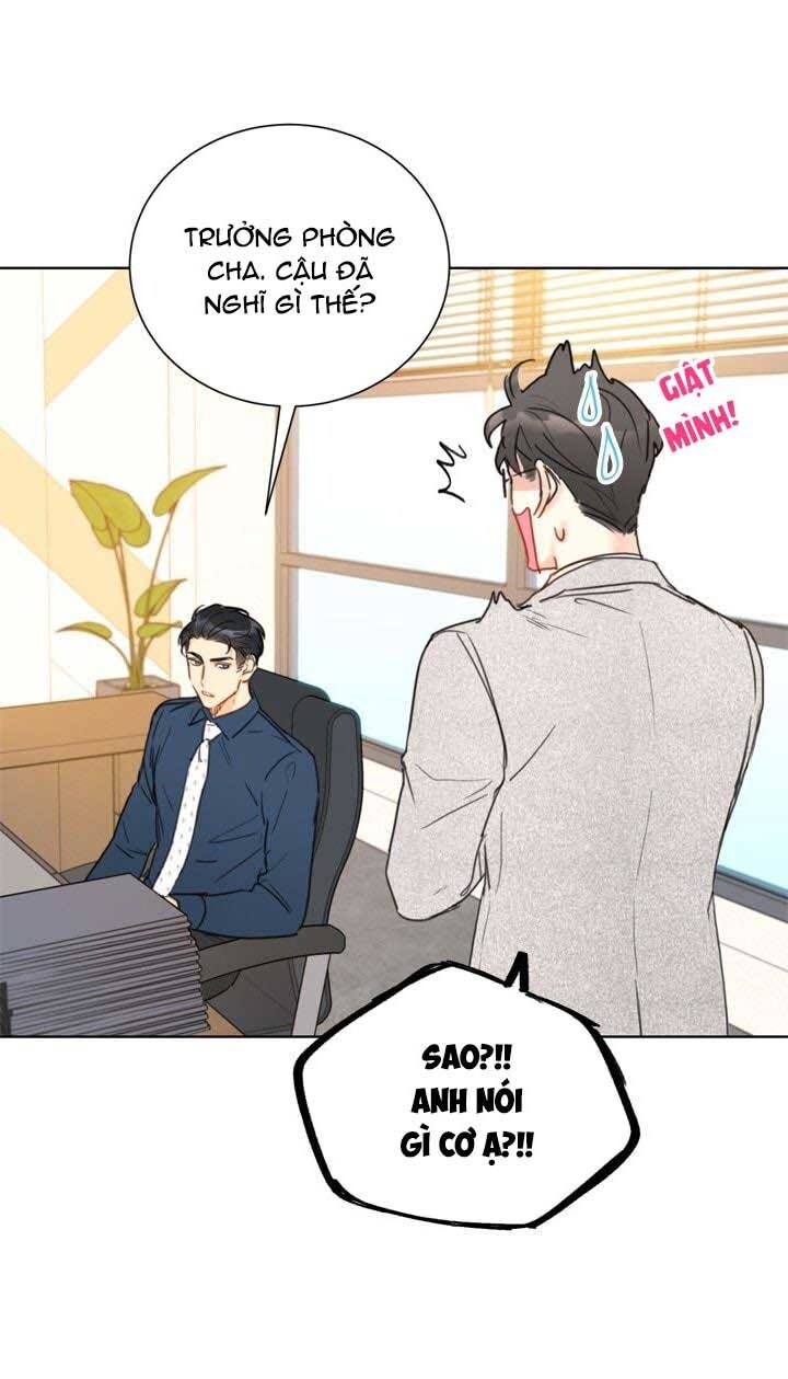 Hẹn Hò Chốn Công Sở Chapter 26 - 70