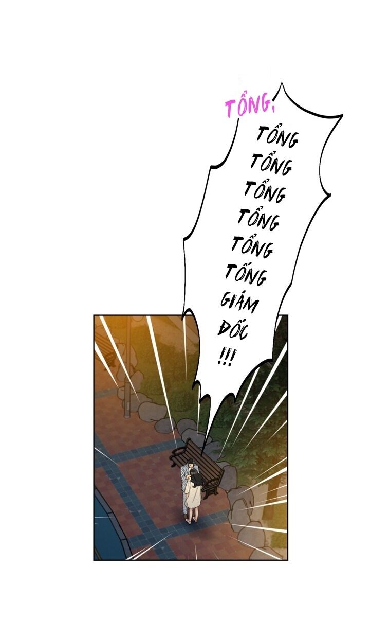 Hẹn Hò Chốn Công Sở Chapter 52 - 55