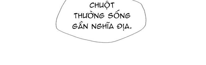 Tôi Viết Sách Để Thăng Cấp Chapter 23 - 46