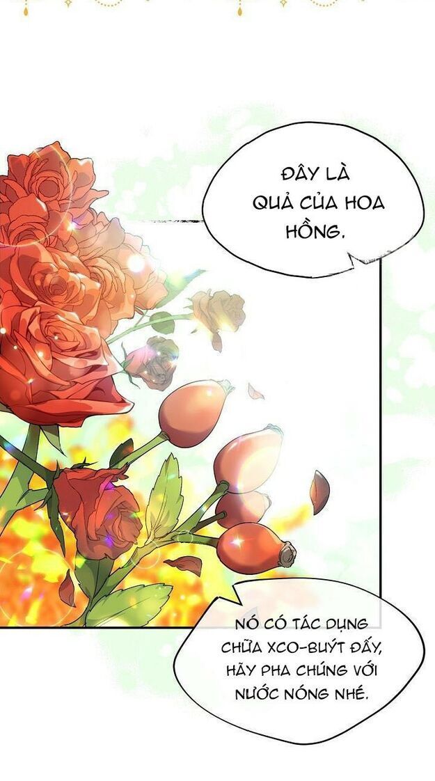 50 Công Thức Pha Trà Của Nữ Công Tước Chapter 62 - 4