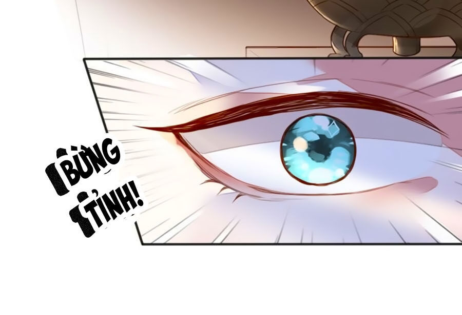 Thái Hậu Quân Hạ Thần Chapter 1 - 33