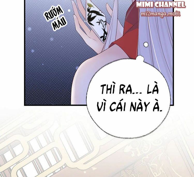 Thái Hậu Quân Hạ Thần Chapter 21 - 26