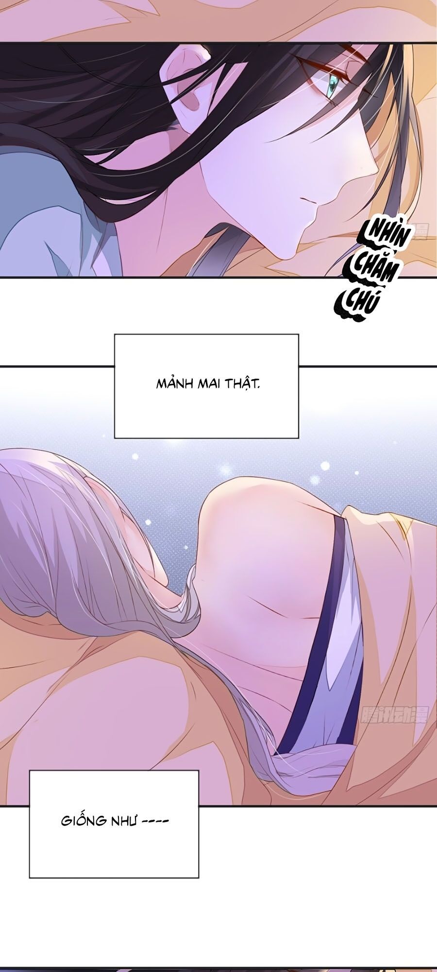 Thái Hậu Quân Hạ Thần Chapter 6 - 17