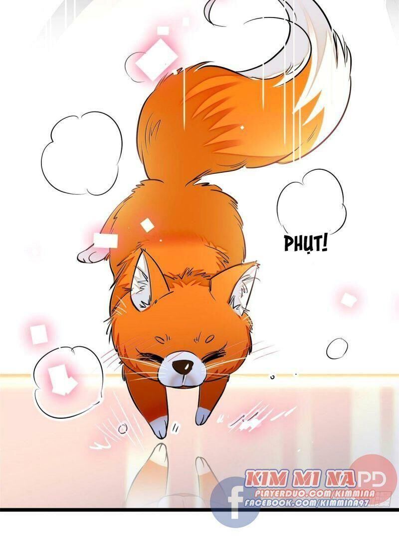 Toàn Mạng Đều Là Fan Cp Của Tôi Với Ảnh Đế Chapter 24 - 8