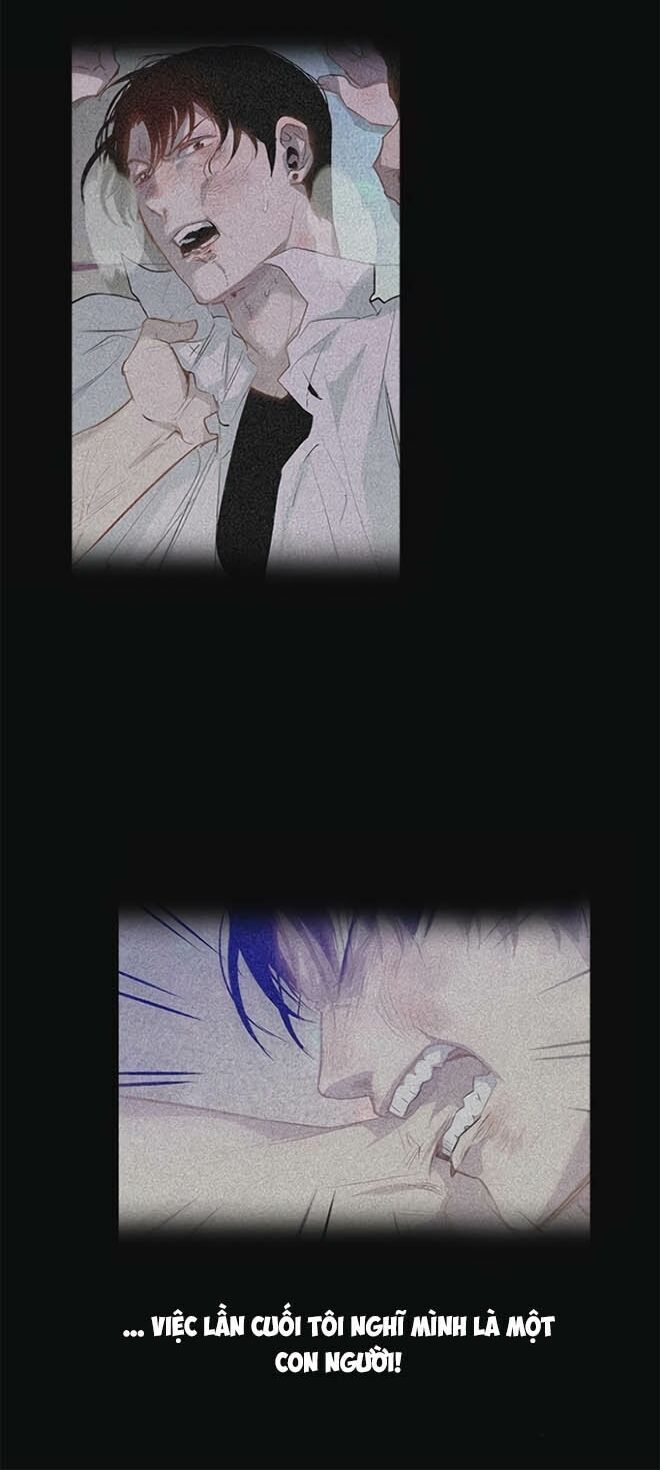 Tiền Bạc Và Quyền Lực Chapter 29 - 13