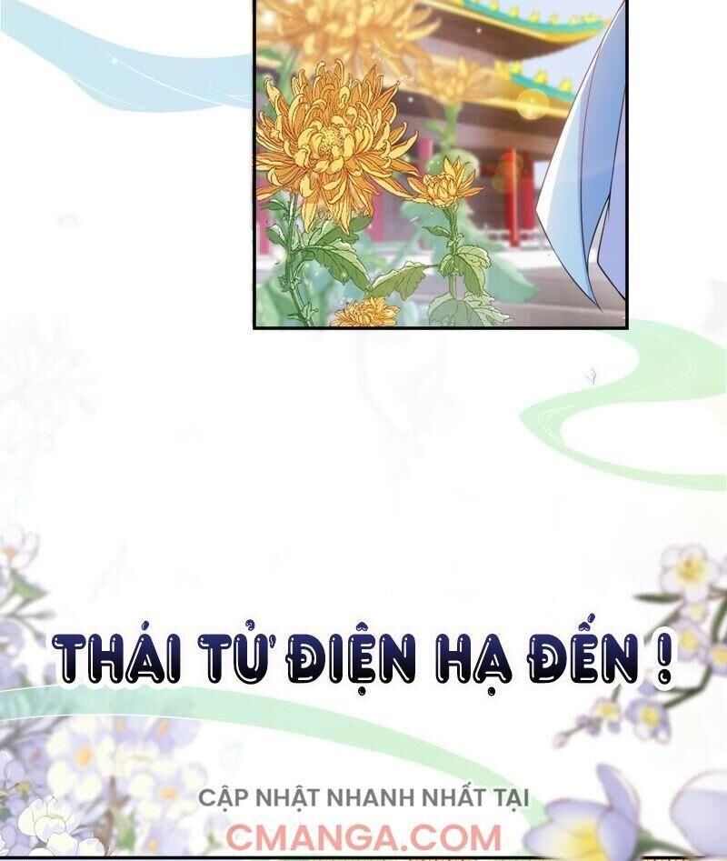 Quận Chúa Vững Vàng, Thiết Lập Nhân Vật Không Thể Vỡ Chapter 20 - 12