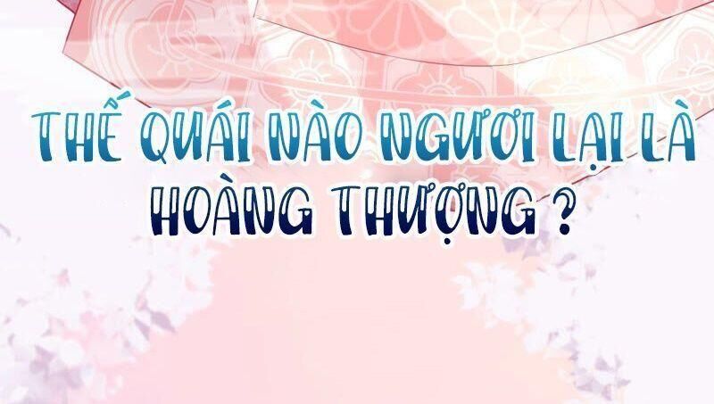 Quận Chúa Vững Vàng, Thiết Lập Nhân Vật Không Thể Vỡ Chapter 24 - 57