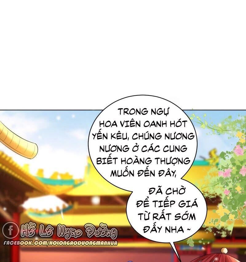 Quận Chúa Vững Vàng, Thiết Lập Nhân Vật Không Thể Vỡ Chapter 34 - 31