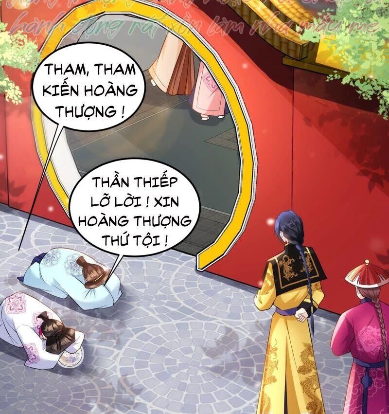 Quận Chúa Vững Vàng, Thiết Lập Nhân Vật Không Thể Vỡ Chapter 34 - 39