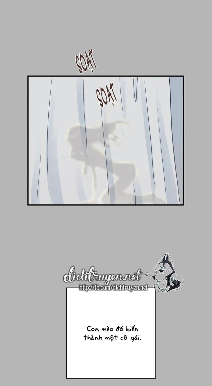 Một Cuộc Sống Kỳ Lạ Chapter 14 - 43