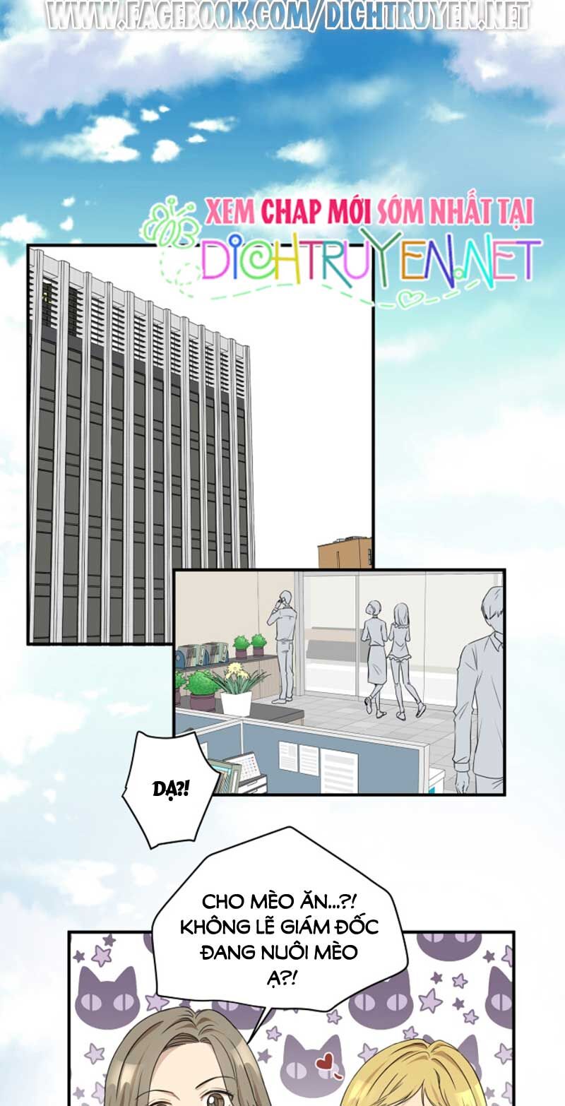 Một Cuộc Sống Kỳ Lạ Chapter 3 - 15
