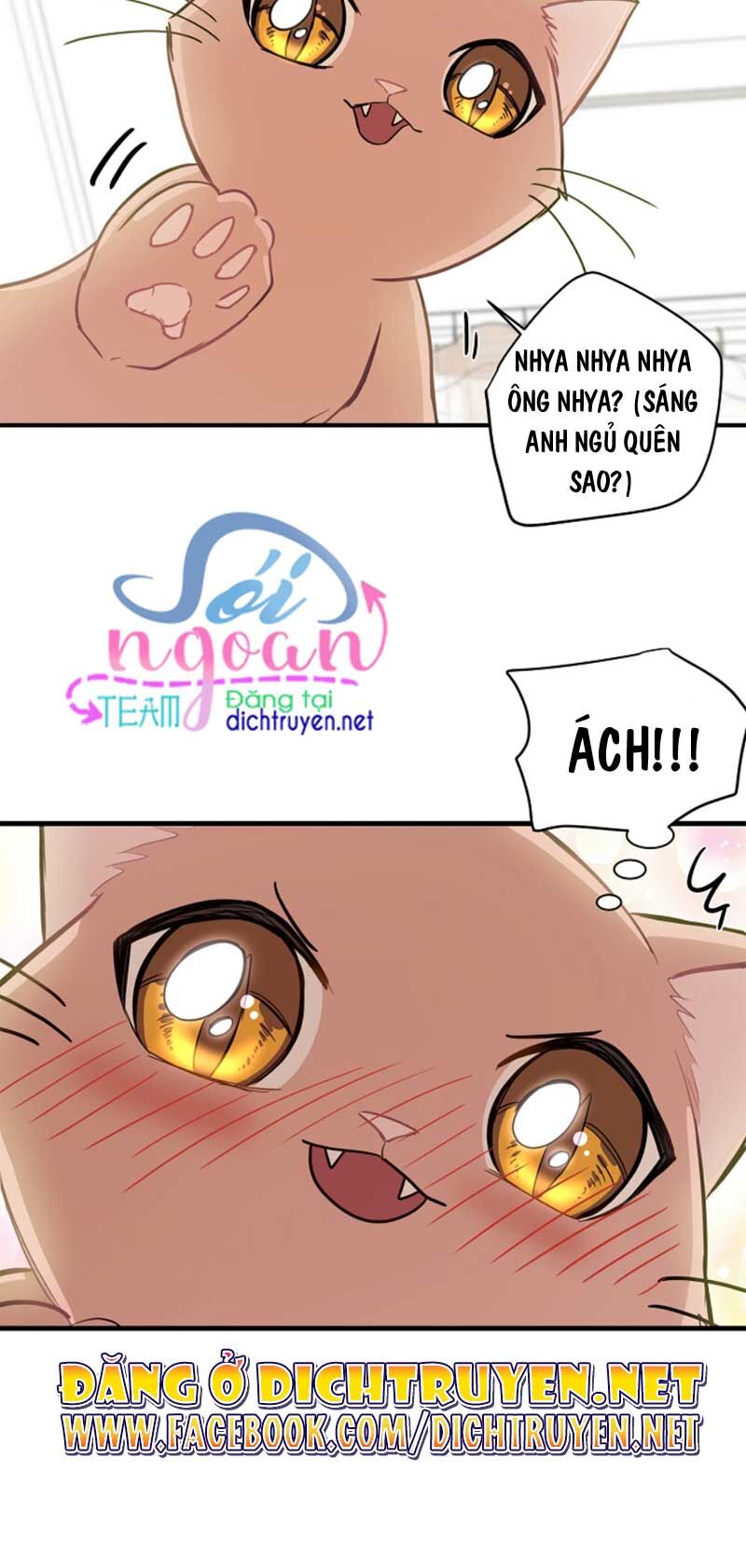 Một Cuộc Sống Kỳ Lạ Chapter 8 - 47