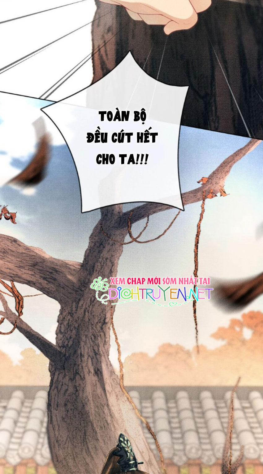 Thê Vi Thượng Chapter 1 - 52