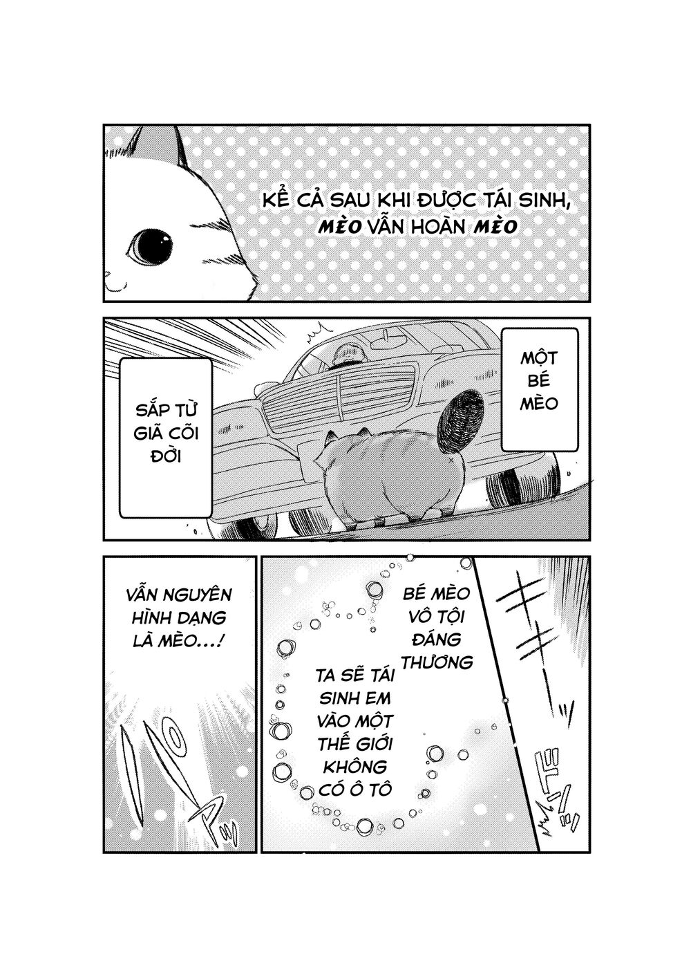 Câu Chuyện Về Một Bé Mèo Được Đầu Thai Ở Một Thế Giới Không Có Mèo Chapter 1 - 3