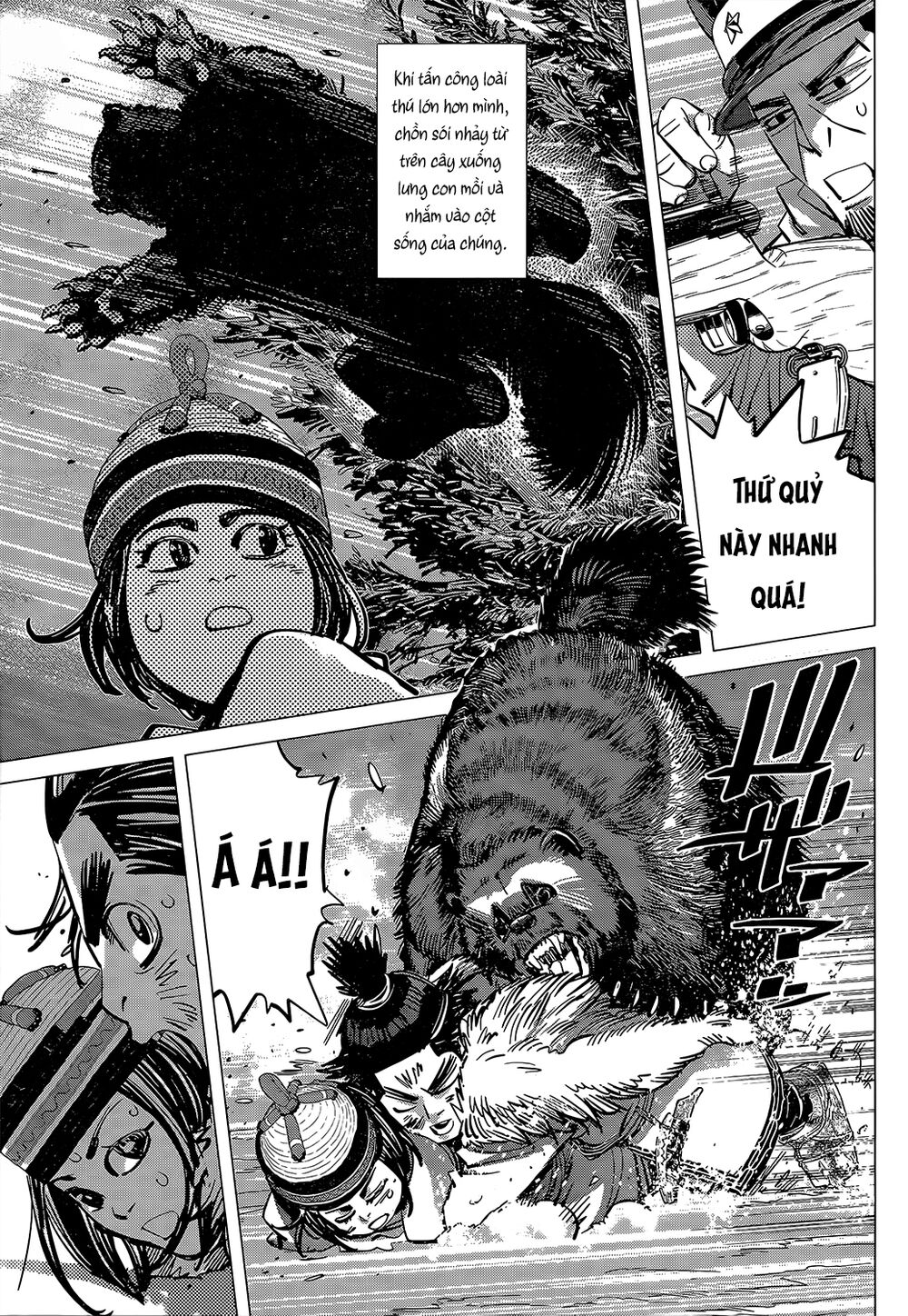 Cơn Sốt Vàng Sau Chiến Tranh Chapter 141 - 9