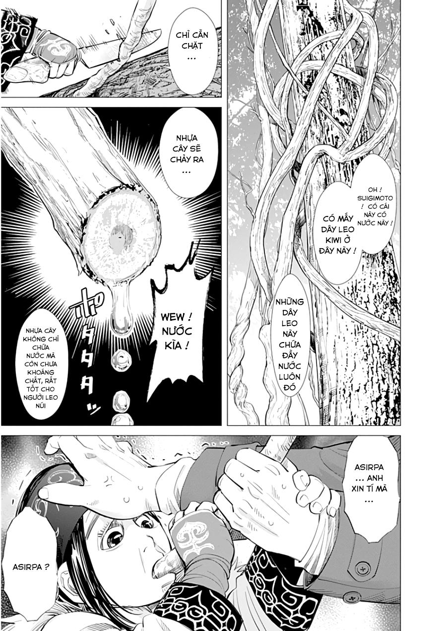 Cơn Sốt Vàng Sau Chiến Tranh Chapter 22 - 5