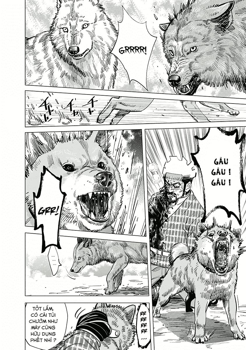 Cơn Sốt Vàng Sau Chiến Tranh Chapter 29 - 13