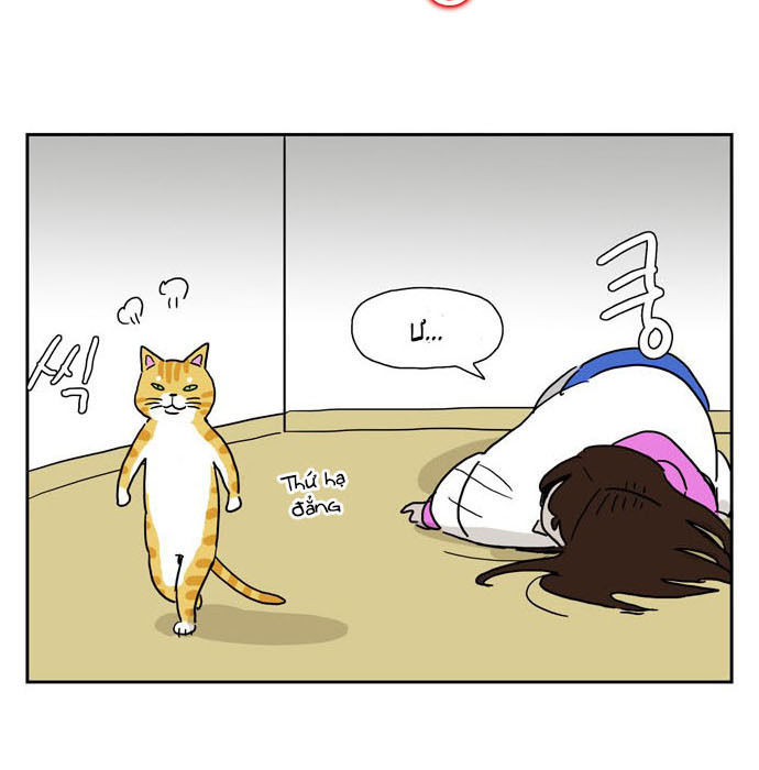 Hard Core Leveling Warrior Chapter 176.1 - 59