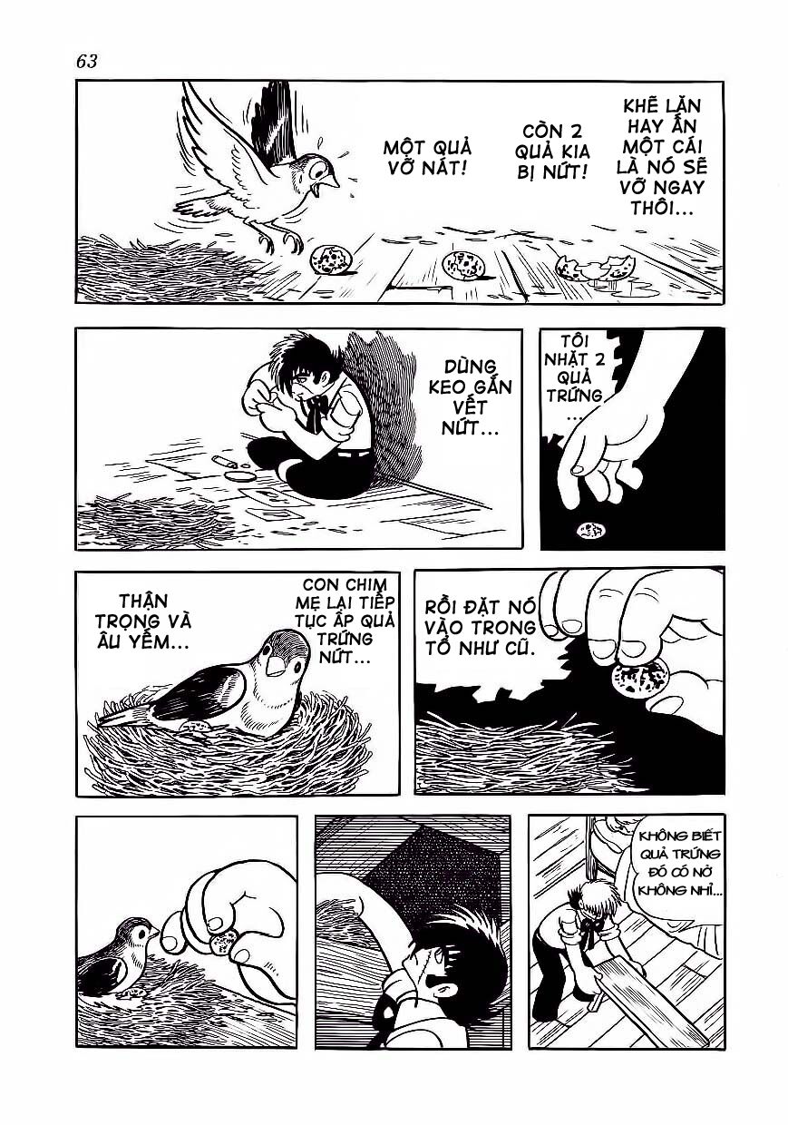 Black Jack Chapter 173 - 15
