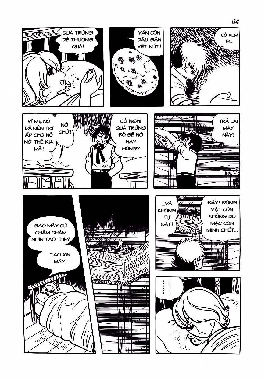 Black Jack Chapter 173 - 16