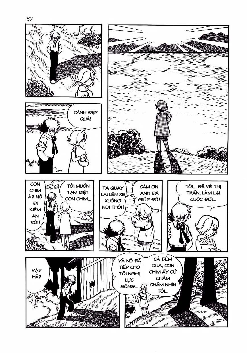 Black Jack Chapter 173 - 18