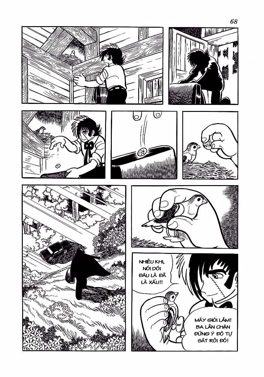 Black Jack Chapter 173 - 19
