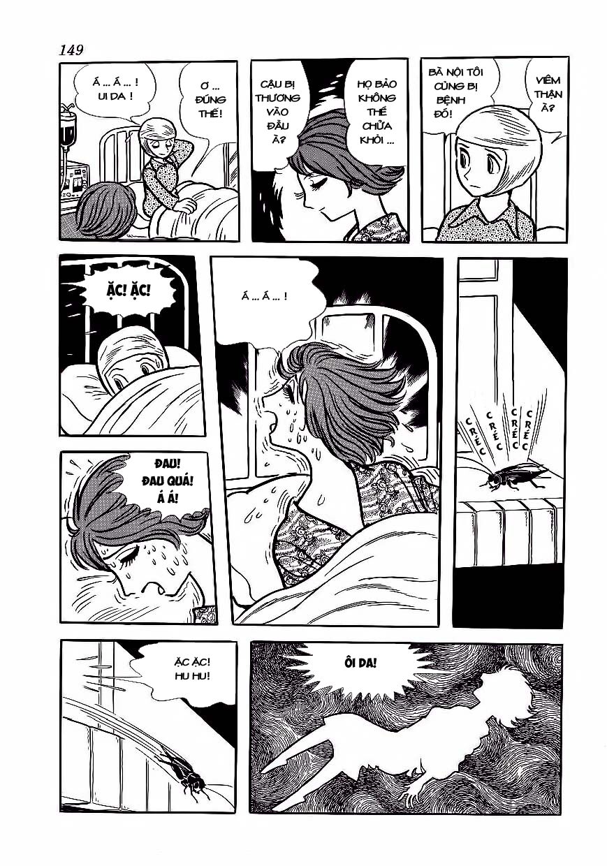 Black Jack Chapter 177 - 12