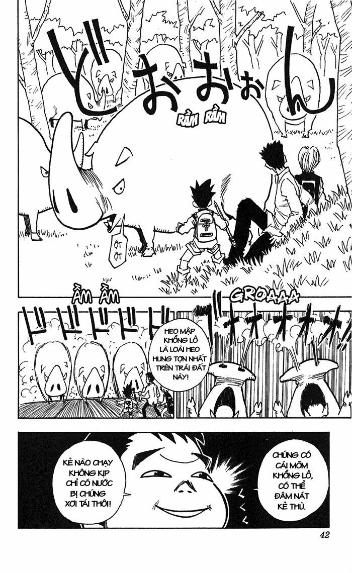 Hunter X Hunter Chapter 10 - 17